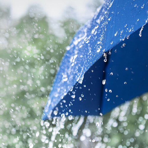 Dankbaar voor de mooie zomerdagen van 2025 - Sofie Dankbaar voor de mooie zomerdagen van 2025 - Sofie