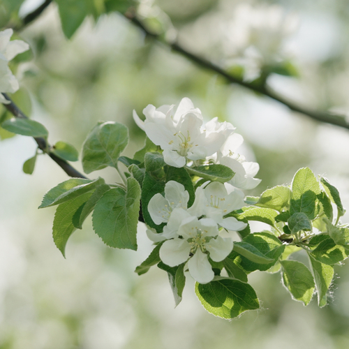 Als ik ...Dan wil ik.Dan kan ik .Dan mag ik . GEWOON IEMAND ZIJN . - Catharina 