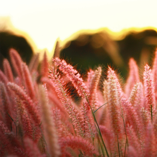 Omdat ik gezellige filmavond tegemoet ga - Natasja