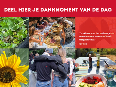 BZN Dankmuur
