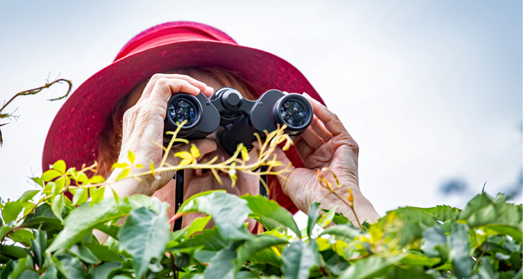Wie nieuwsgierig is, ontdekt meer