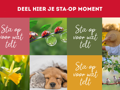 BZN STA-OP muur