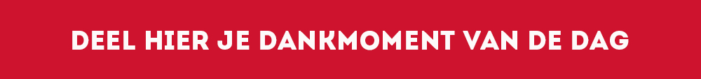 dankmuur